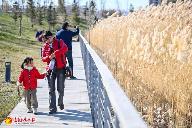 收藏！乌鲁木齐秋日Citywalk好去处，这几个新公园必逛