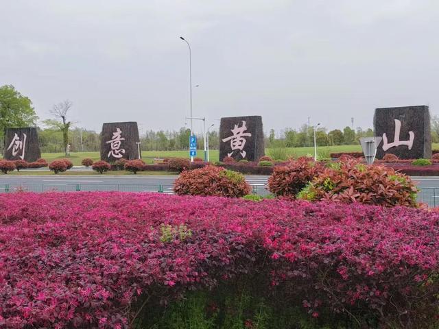 漫步黄山松掩山丛树杪，云隐仙踪徒步蹬道千阶