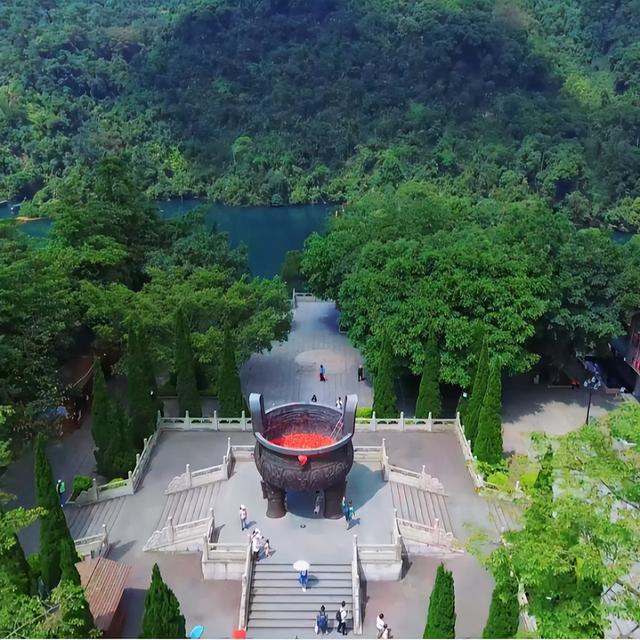 百万粉丝达人宝哥携导盲犬游览鼎湖山，直呼：空气好清新！