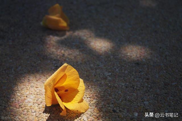 “黯然失色”是什么意思，黯然失色与相形见绌又有何区别？