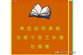 单位如何单独为某个员工补缴社保费图片