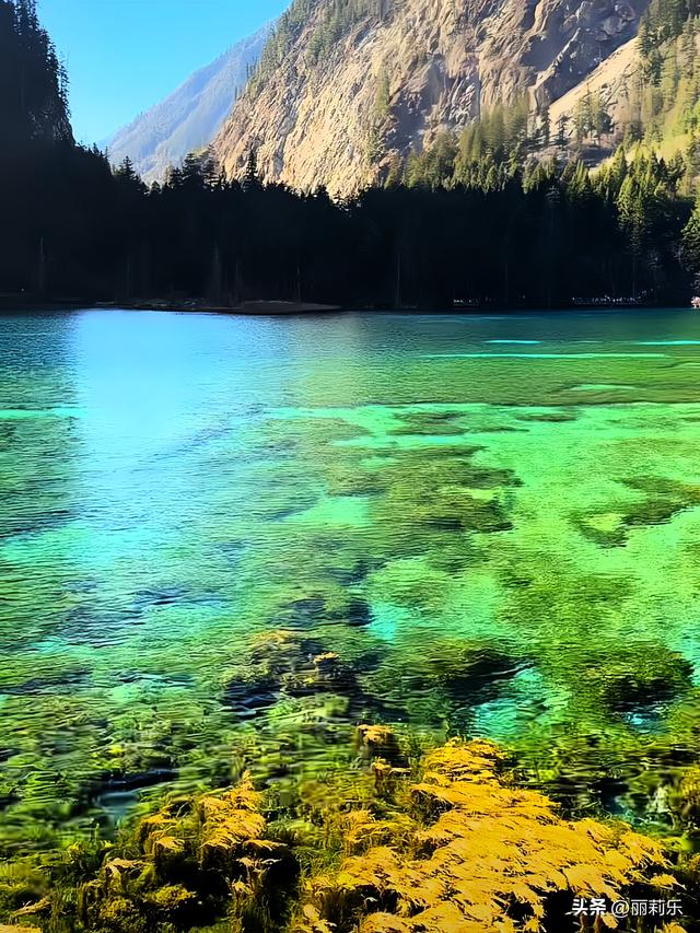 我在九寨沟踩了一脚“碎钻”，才懂日子里的光根本藏不住