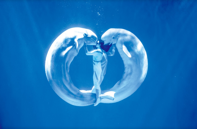 每一帧的黑龙江 都是绝美色卡