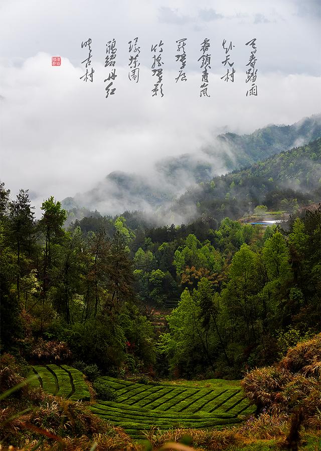 烟雨大别山，醉美望天村