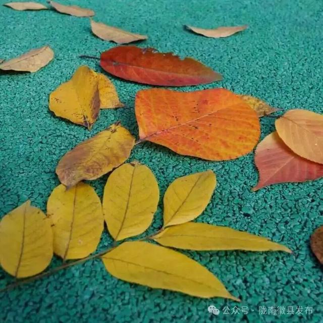 徽县泰湖，山水间的静谧风情