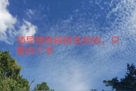 在职场上，领导想除掉财务的你，就四个字图片