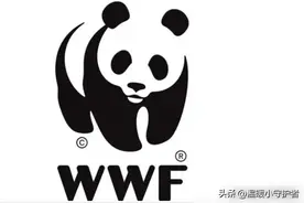 印度14年向中国租赁熊猫40次，却屡屡被拒，为何不能租给他们呢？图片