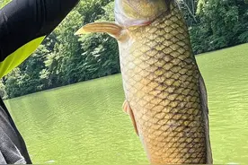 中国十大好吃的鱼图片