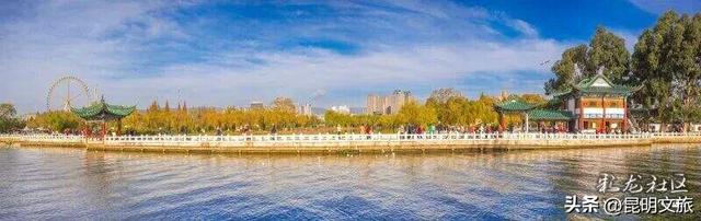 跟着赛事游昆明｜昆明金色信号已满格！这份“市区寻金图鉴”带你解锁冬日温柔