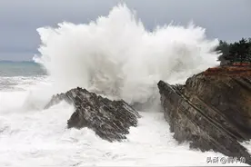 青岛市区部分初中2024年中考成绩不完全统计图片