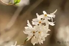 最绝情的三大星座，一旦失望，不念旧情，转头就走，这辈子不回头图片