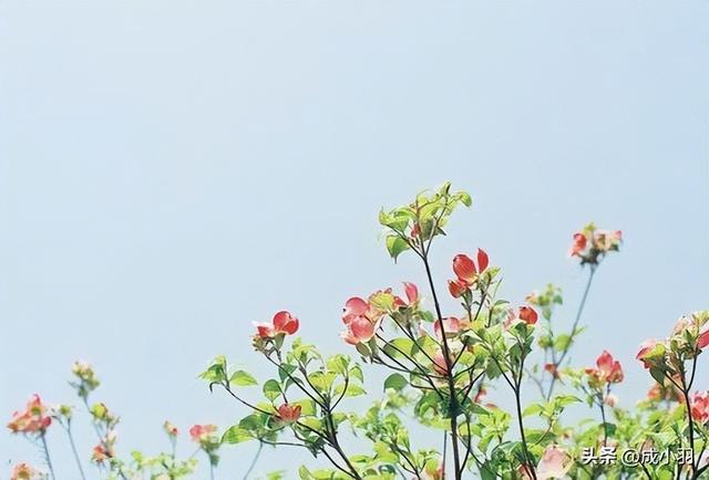 一个妻子，发自内心嫌弃老公，基本会出现3种反常	，很真实