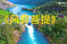 古琴箫小提琴纯音乐《风雾菩提》加长完整版，唯美古风，空灵飘逸图片