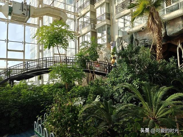 寻趣石家庄——曾经辉煌过的空中花园，如今怎么样了？