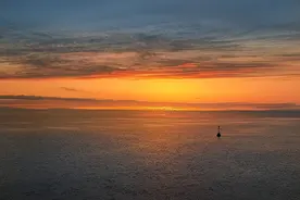 庞余亮：茨菰的若干种吃法图片