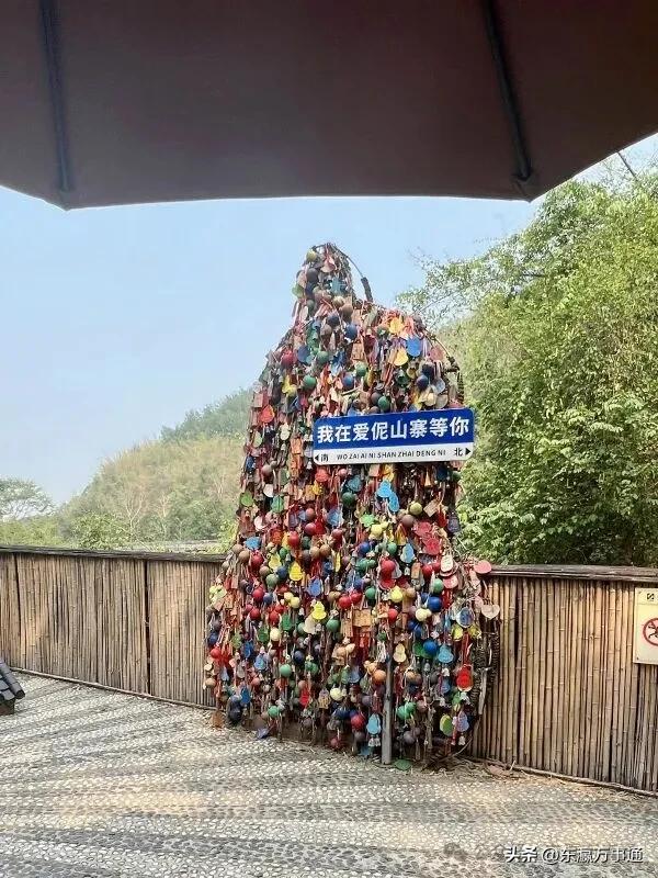 华媒走进西双版纳原始森林公园:看孔雀飞舞 访爱伲山寨 探原始森林