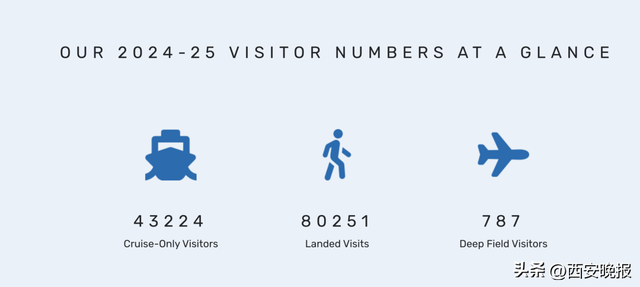 南极游逐年火爆：价格从5万到123万不等；有一定财力、体力、时间的“银发族”成中国游客的主力