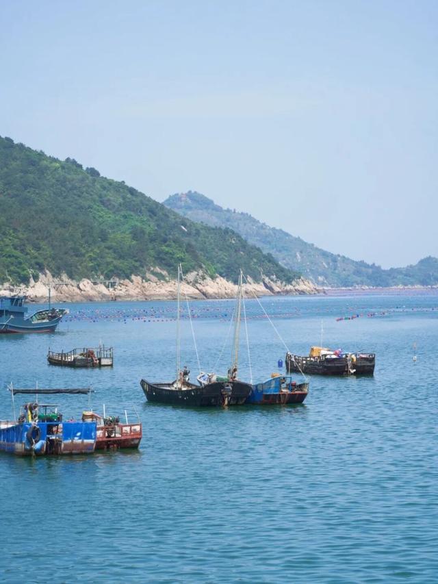 福建福鼎副市长李闻笛：来“海上仙都”，左手山海右手美食｜文旅品牌建设分享会