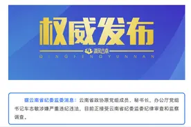 72岁云南省政协原秘书长车志敏被查 曾任珠宝玉石协会名誉会长等社会职务图片
