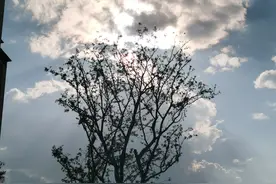 善恶终有报图片