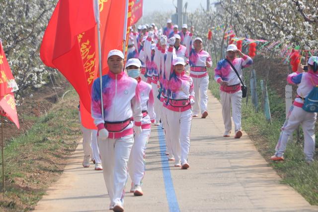 别找了 春天最美的花海就在肥城市安驾庄