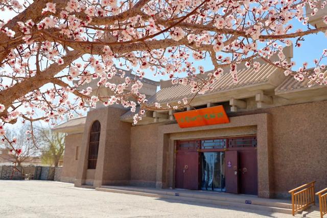 清明踏春|阳关沉浸式通关指南