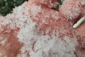 “噼里啪啦”自带音效，郑州下“霰”了！图片