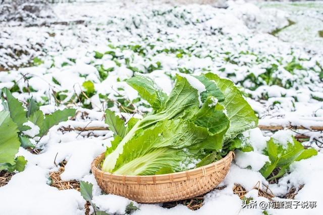 今年大雪不一般！5点04分交节	，今冬雪多？看农谚咋说，早了解