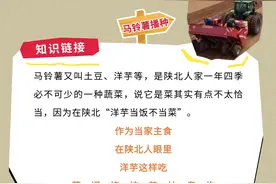 地理标志产品～定边马铃薯，走出定边、走向全国、走向世界图片