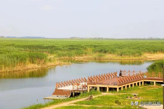 沙原渔村：好风景与好生活共“生长”
