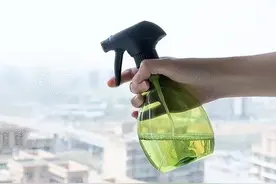 藿香正气水+白醋＝万能杀虫清洁剂？这些妙用能惊掉你下巴！图片