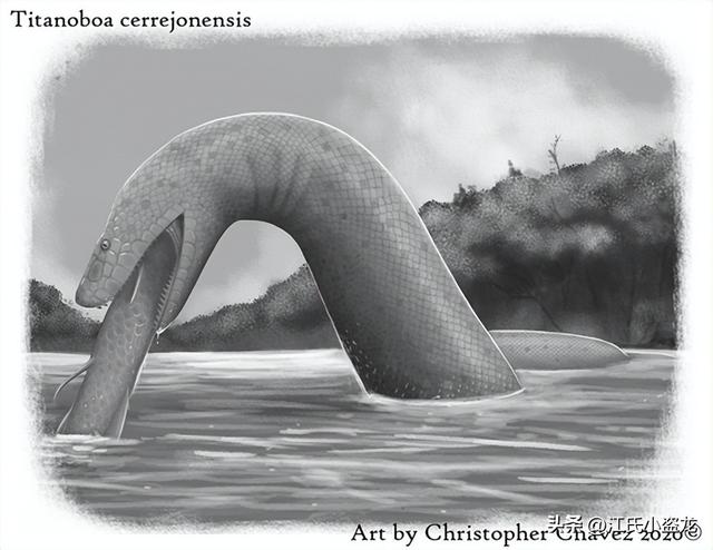 狂蟒之灾：地球生命史上的五大巨蛇全盘点！