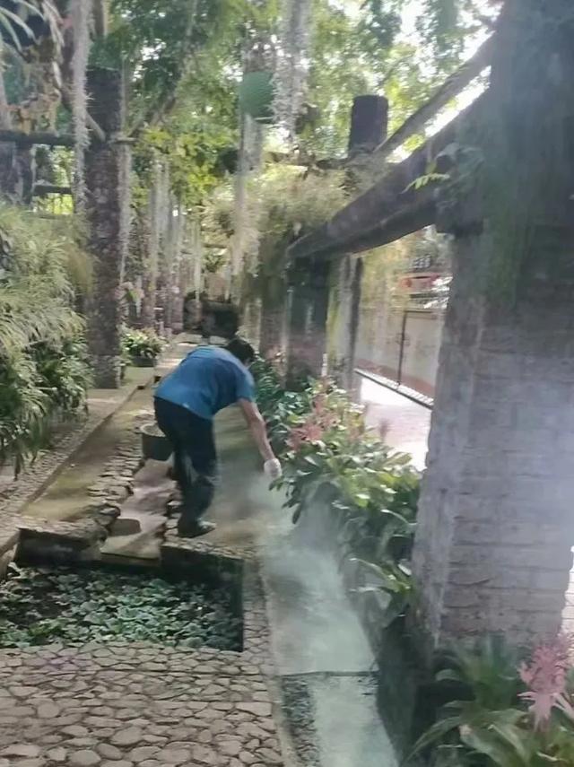 预防基孔肯雅热,万宁旅文行业在行动