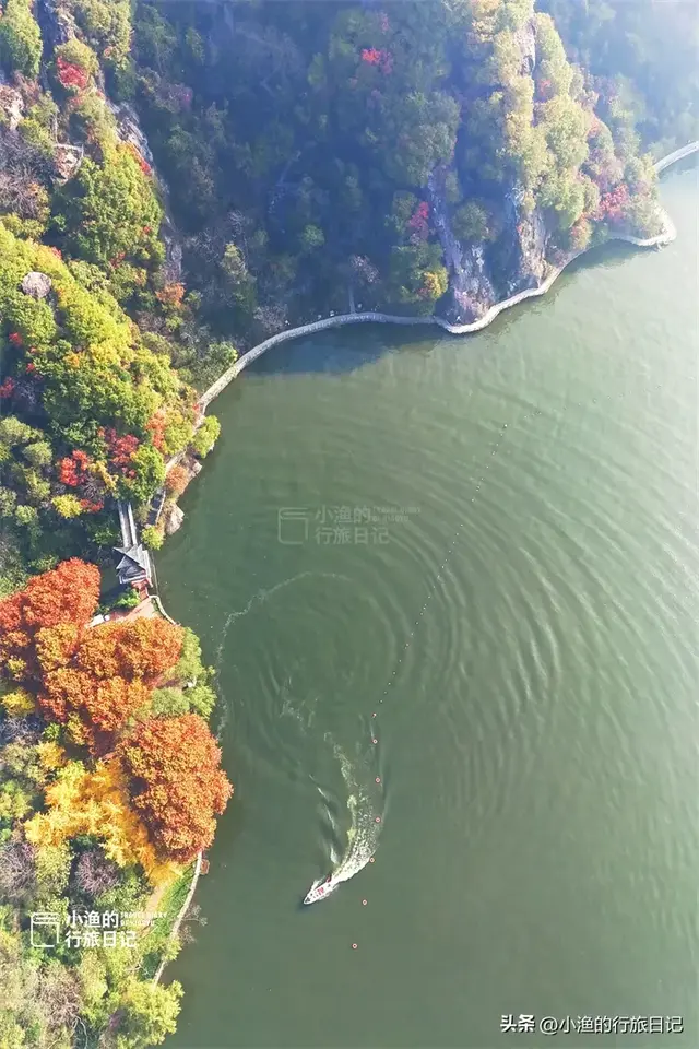 西安人家门口的“红叶秘境”，斑斓整个秋天！美得超乎想象