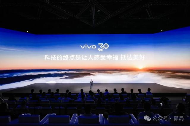 长跑入局，vivo的坚守与新局