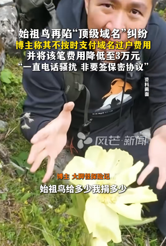 蔡国强烟花秀后续：始祖鸟更多黑料被扒，买走顶级域名却不付钱