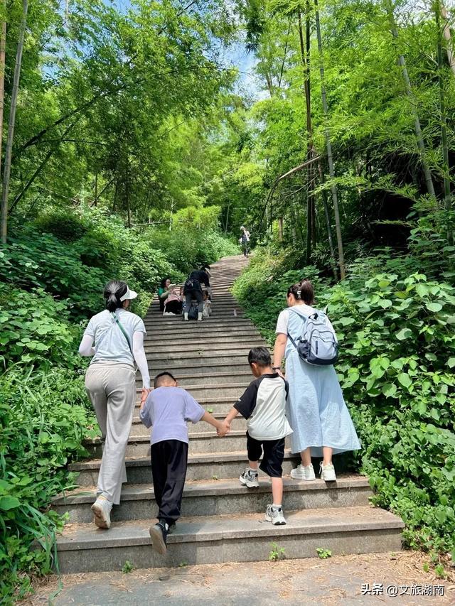 全部免费!解锁长沙10条山林徒步路线