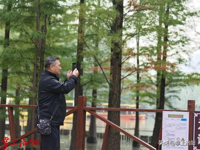 秋日限定，散步即达！洛阳各公园秋景观赏攻略请收好