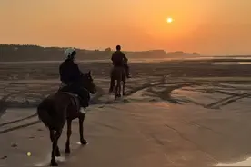 一年新增10余家马场，武汉年轻人选择骑马过周末图片