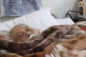 1995年，沈阳一老太太临终前说出真相：我就是国民党找的军火大盗图片