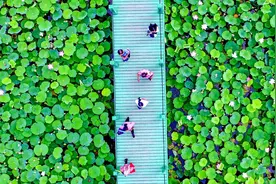 沈阳这些小众景点，谁拍谁好看！图片