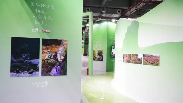 逛不停的茶博会|我们都超期待的茶博会逛展攻略，它来了！
