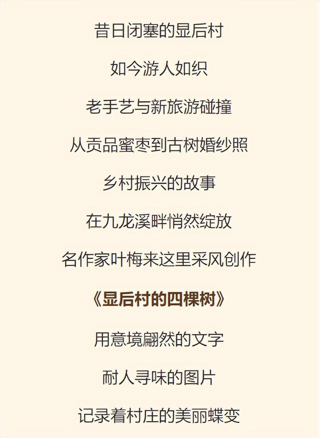 显后村：一个作家的采访掠影