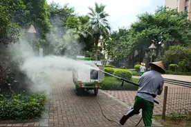 佛山，与蚊子缠斗的一个月图片