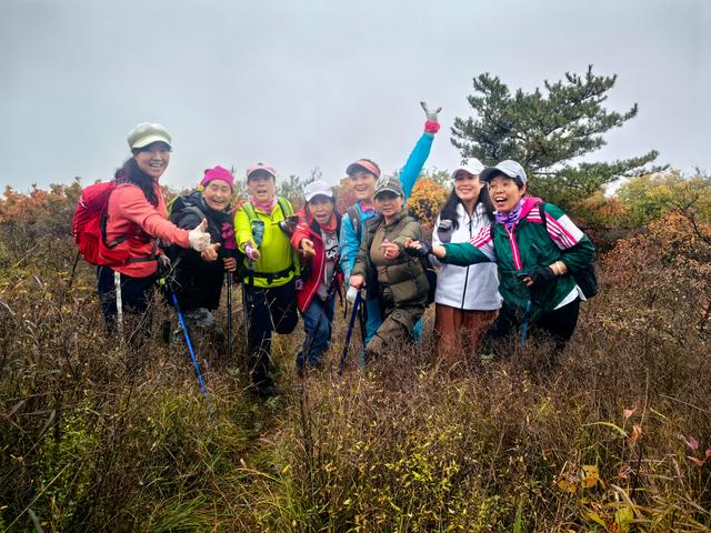 雾锁风挡山，红叶引客来