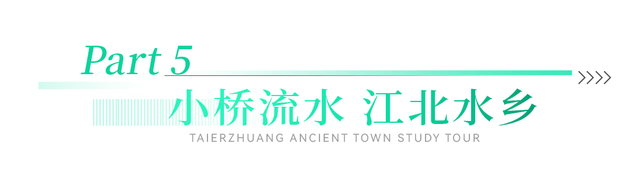 踏春游古城，研学好时光！一起来台儿庄古城探索文化盛宴！