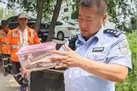 长春一垃圾箱内发现！紧急处置→图片