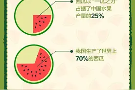 为什么外国人很少吃西瓜 他们的瓜不好吃吗？图片