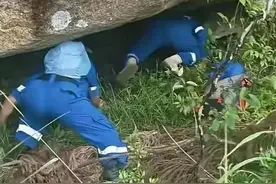 福建仙游8岁男童石谷解走失，50多天后遗体被发现图片