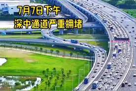 笑不活了，深中通道开通首个周末严重拥堵15公里，去蹭流的收手吧图片